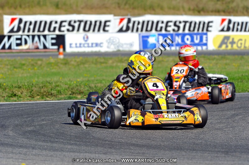 DSC_ (1191).jpg